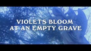 VIOLETS BLOOM AT AN EMPTY GRAVE di Luciano Imperoli